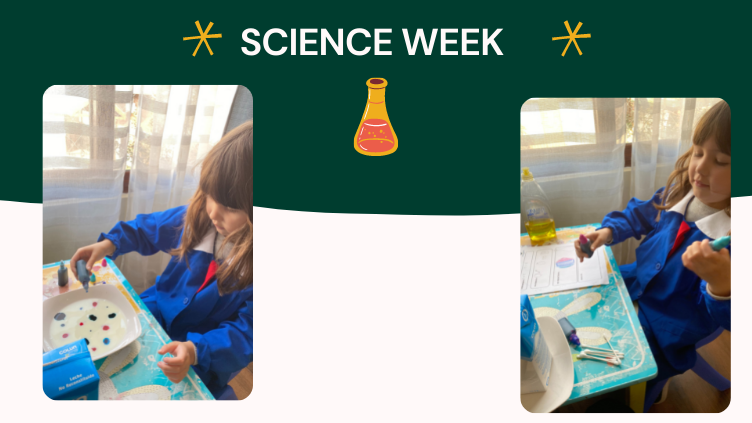 SCIENCE WEEK FIRST 1 (17)